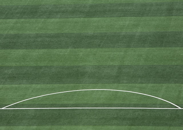 賽季歐冠第 賽季歐冠第