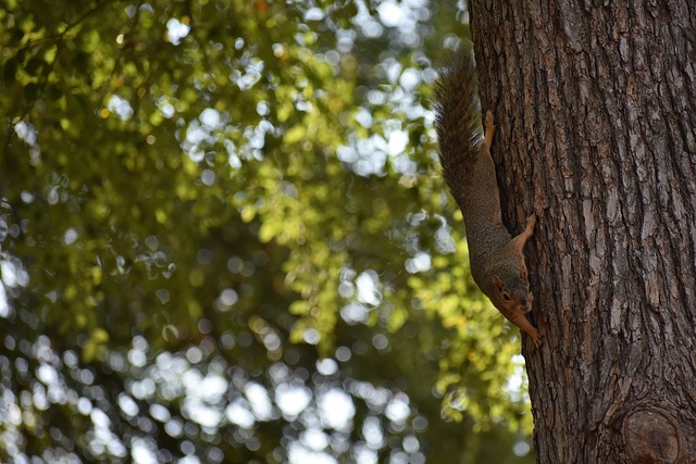 上定制化的 上定制化的