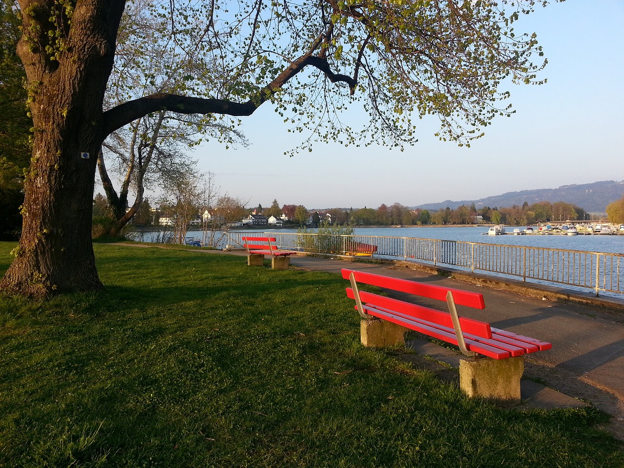 能亲历这样 能亲历这样