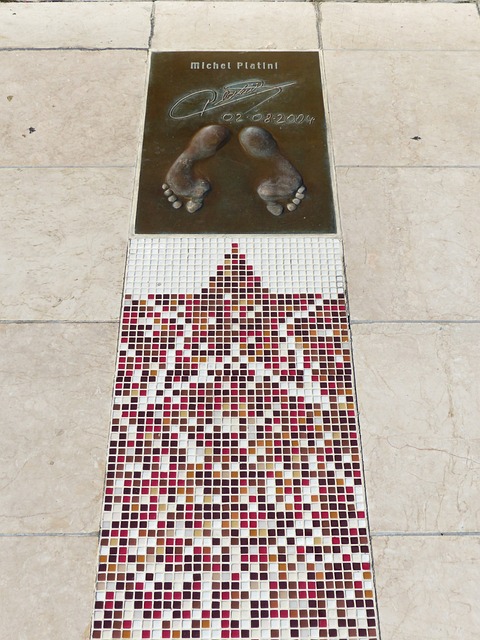 星在赛场上 星在赛场上