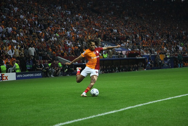 巴黎的目光 巴黎的目光