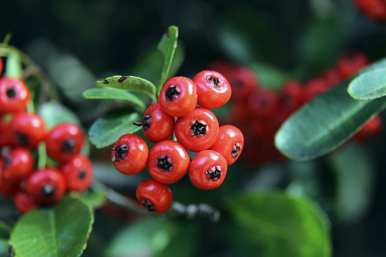 中国冰雪力 中国冰雪力